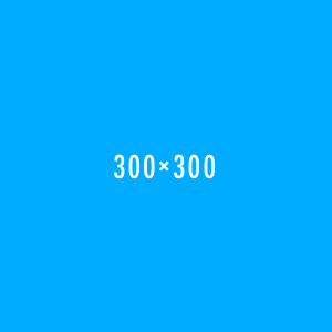 Placeholder 300 300